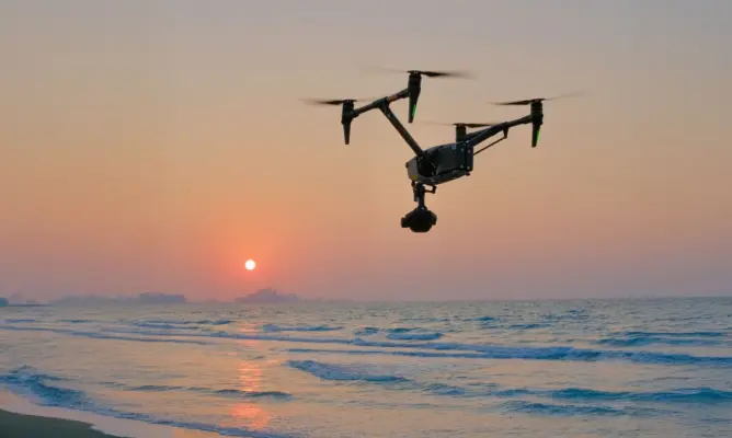 Aerial-Filming-black-bird.webp